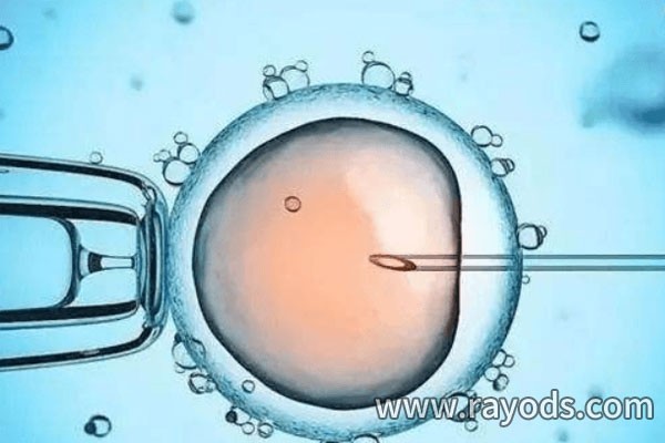 患有卵巢早衰可以在中山做试管婴儿吗？