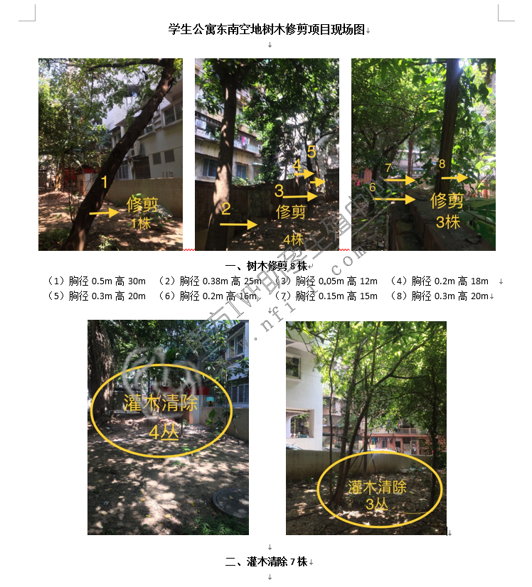 中山借卵生殖中心:学生公寓东南面空地上的树木修剪项目的报价邀请函