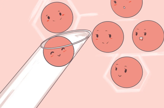 如果你有卵巢早衰，你可以只用捐赠的卵子做试管婴儿吗？