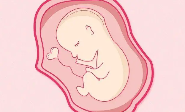 周口借卵试管：试管婴儿冷冻胚胎人工周期移植（详细具体过程）
