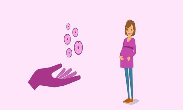 烟台捐卵：老年妇女使用捐赠卵子进行体外受精的成功率，继续阅读